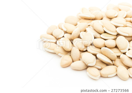 Hyacinth Bean (Hyacinth bean): Hyacinth bean (Lablab-bean) Hyacinth Bean (Hyacinth bean): Hyacinth bean (Lablab-bean) 27273566