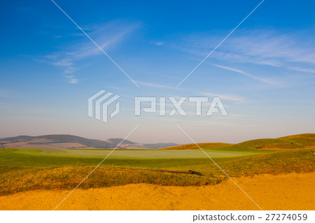 The detail of green field at sunrise 27274059
