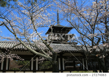 Cherry blossoms at Horyuji 27274863