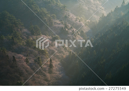 在Oku Takano山脈在早晨的太陽升起到冰山的峰頂Midwinter黎明奈良縣Nogunikawa村 27275549