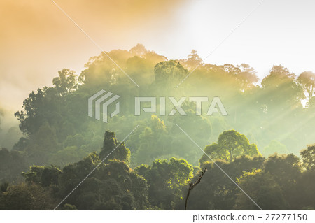 golden sky shine though the fog above the mountain golden sky shine though the fog above the mountain 27277150