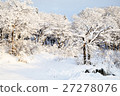 Beautiful snow covered trees in Japan 27278076