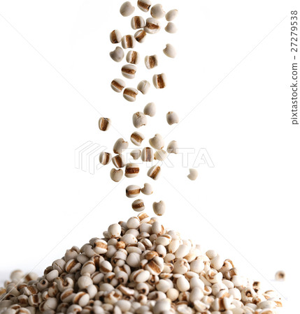 Coixseed on white background 27279538