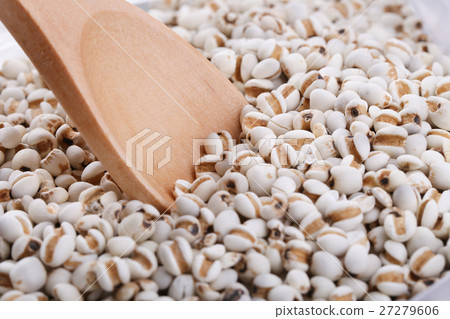Coixseed With Wooden Spoon Coixseed With Wooden Spoon 27279606