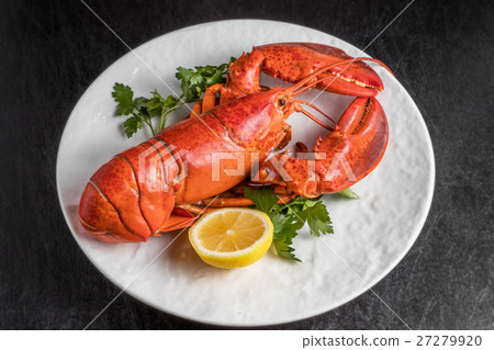 High class lobster High-quality lobster 27279920