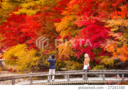 Couple enjoying a beautiful autmn park 27281380