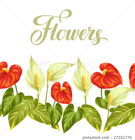 Seamless border with flowers spathiphyllum and 27281776