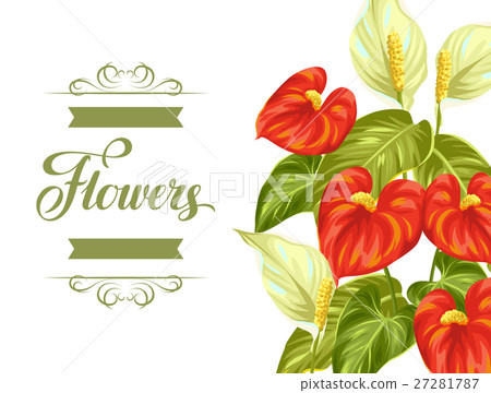 Greeting card with flowers spathiphyllum and 27281787