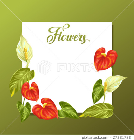 Decorative frame with flowers spathiphyllum and Decorative frame with flowers spathiphyllum and 27281788