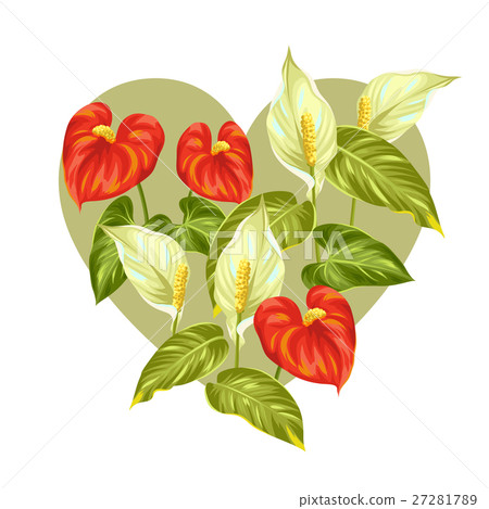 Greeting card with flowers spathiphyllum and 27281789