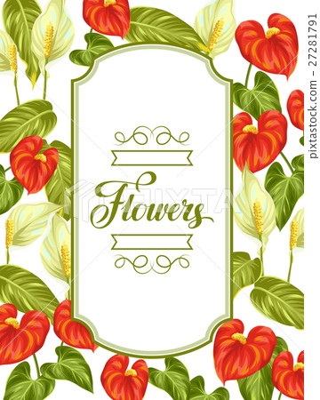 Decorative frame with flowers spathiphyllum and 27281791