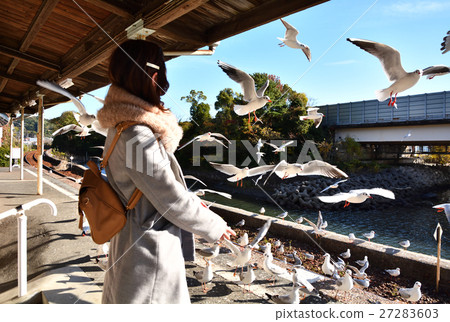 Seagull of Tenhama Line 27283603