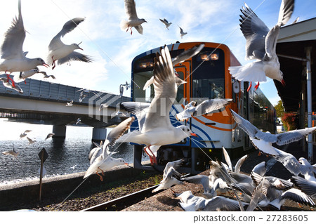 Trains and seagulls 27283605