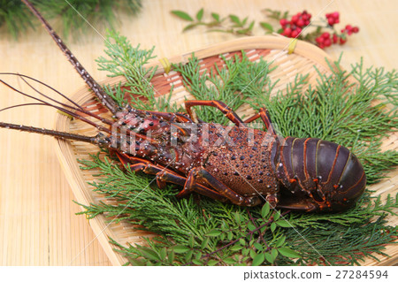 Shrimp Ise 27284594
