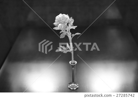 黑色和白色的花 黑色和白色的花 27285742