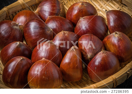 新鮮板栗栗子 27286395
