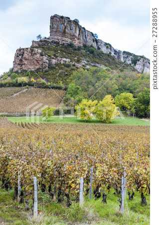 Solutre Rock with vineyard, Burgundy, France 27288955