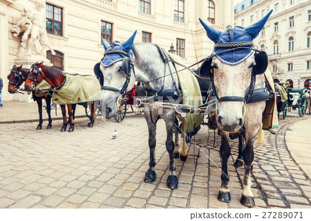 Horse-driven carriage in Vienna, Austria Horse-driven carriage in Vienna, Austria 27289071