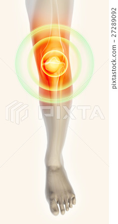Knee painful - skeleton x-ray. 27289092