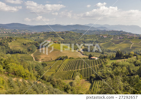Rural mediterranean landscape with vineyards Rural mediterranean landscape with vineyards 27292657