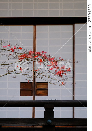 Autumn leaves 27294766