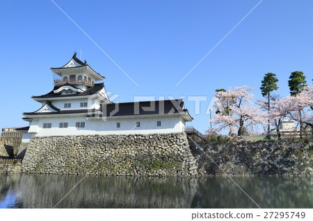 Toyama castle and cherry blossoms 27295749