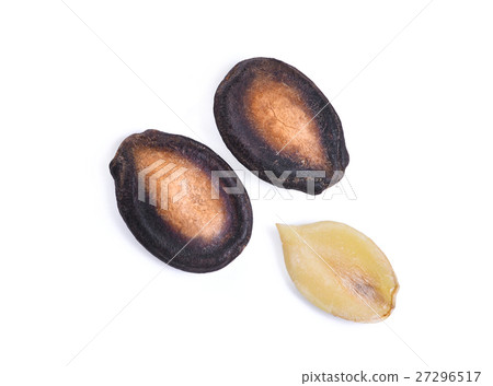 top view of dried watermelon seeds isolated top view of dried watermelon seeds isolated 27296517