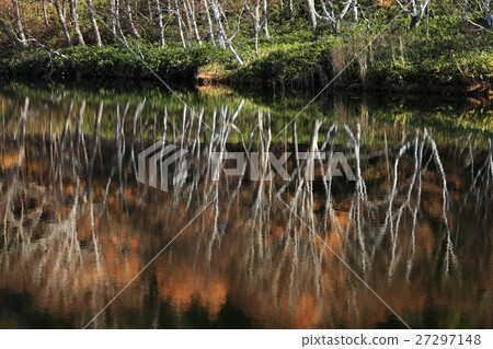 志賀高原Kido池塘在深秋 志賀高原Kido池塘在深秋 27297148