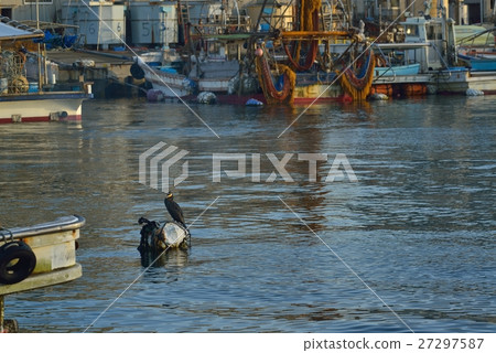 Akashi fishing port morning fishing boat and cormorant 27297587
