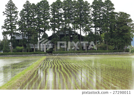 散落在鄉村花園景觀中 27298011