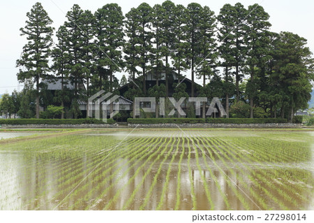 散落在鄉村花園景觀中 27298014