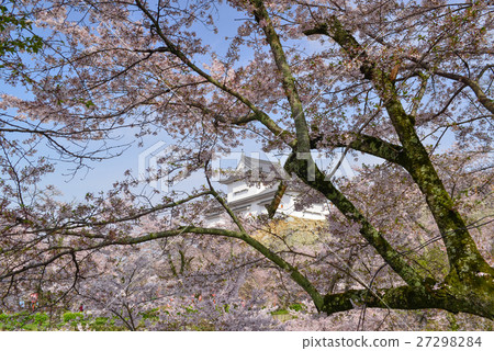 Spring in Okayama prefecture. 27298284