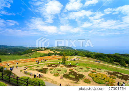 從觀景台的淡路花風景 27301764