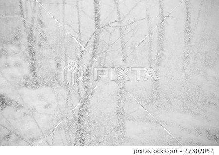 Winter View of trees covered with snow 27302052