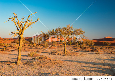The scenic Sossusvlei  27303384