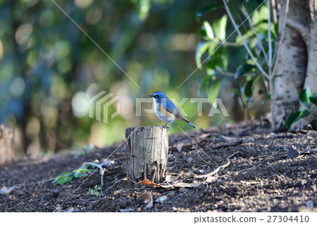 Ruribitaki ab Ruribitaki ab 27304410