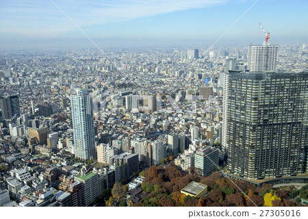 Tokyo city landscape in early winter Tokyo city landscape in early winter 27305016