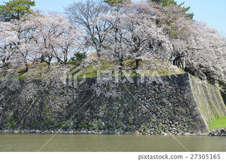 Spring Nagoya Castle 27305165