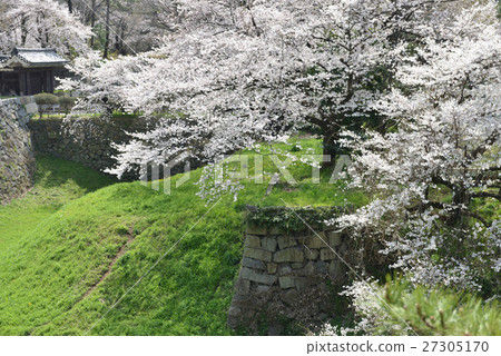 Spring Nagoya Castle Spring Nagoya Castle 27305170