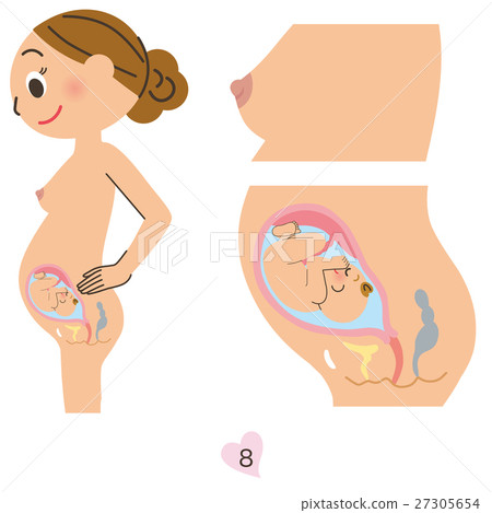 Pregnant women 8 months Pregnant women 8 months 27305654