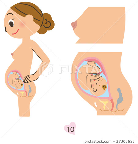 Pregnant women 10 months 27305655