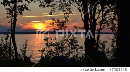 Evening sunset on background silhouette of trees. 27305838