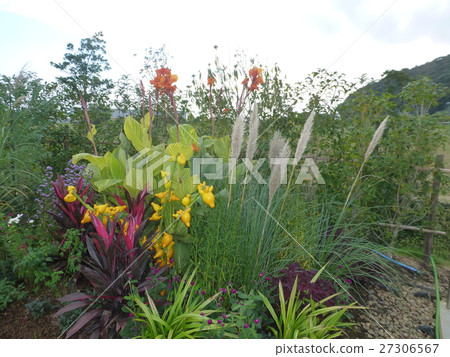 Laguna Gamagori 27306567