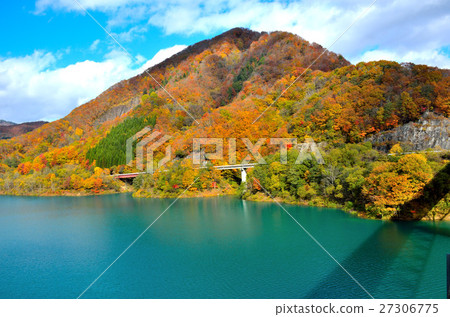 Autumn leaves of Takara 27306775