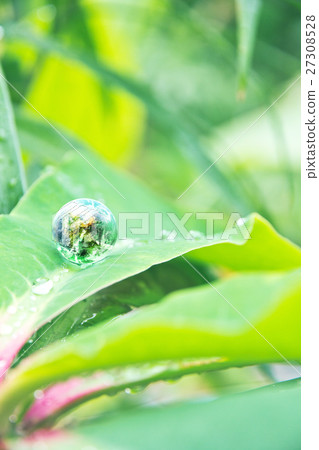 Environment Conservative concept Environment Conservative concept 27308528