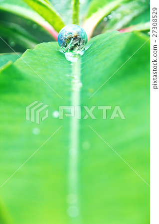 Environment Conservative concept Environment Conservative concept 27308529