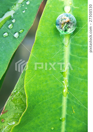 Environment Conservative concept Environment Conservative concept 27308530