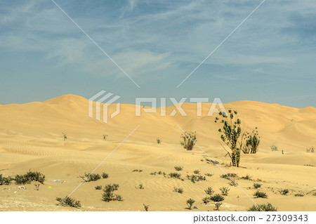 Safari Dune Bashing Oman Desert Rub al Khali Safari Dune Bashing Oman Desert Rub al Khali 27309343