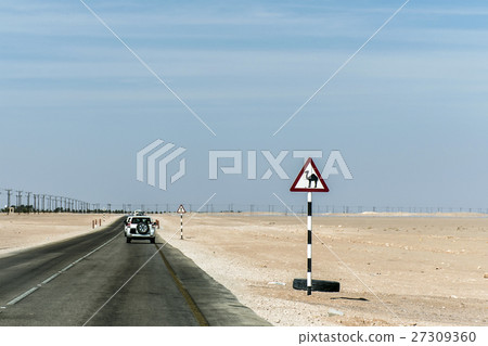 Camel warning sign desert street road dhofar  Oman 27309360
