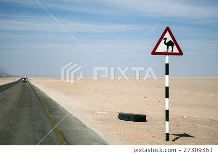 Camel warning sign desert street road dhofar  Oman 27309361